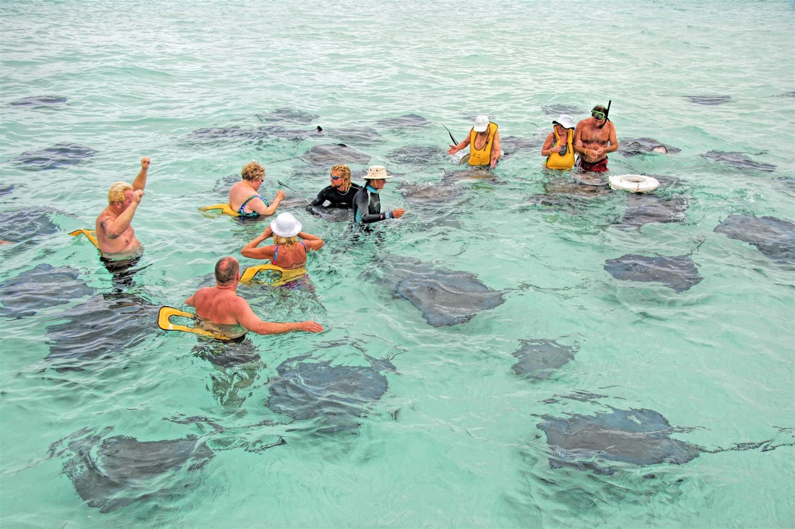 Visitors standing waist-deep in clear water among stingrays at Stingray City, Grand Cayman